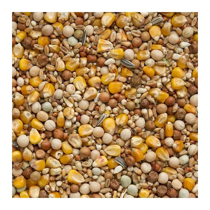 4 Saisons Spécial 25kg - Beyers 4 4 Saisons Spécial 25kg - Beyers - Image 2