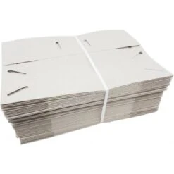 50 Boites En Carton Pour Le Transport De Petits Oiseaux