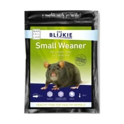 6 Rats Juvéniles S/30-60gr Congelé