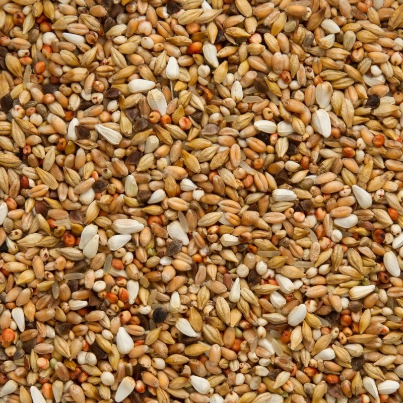 7/33 Elite Enzymix Super Dépuratif 20kg - Beyers 4 7/33 Elite Enzymix Super Dépuratif 20kg - Beyers - Image 2