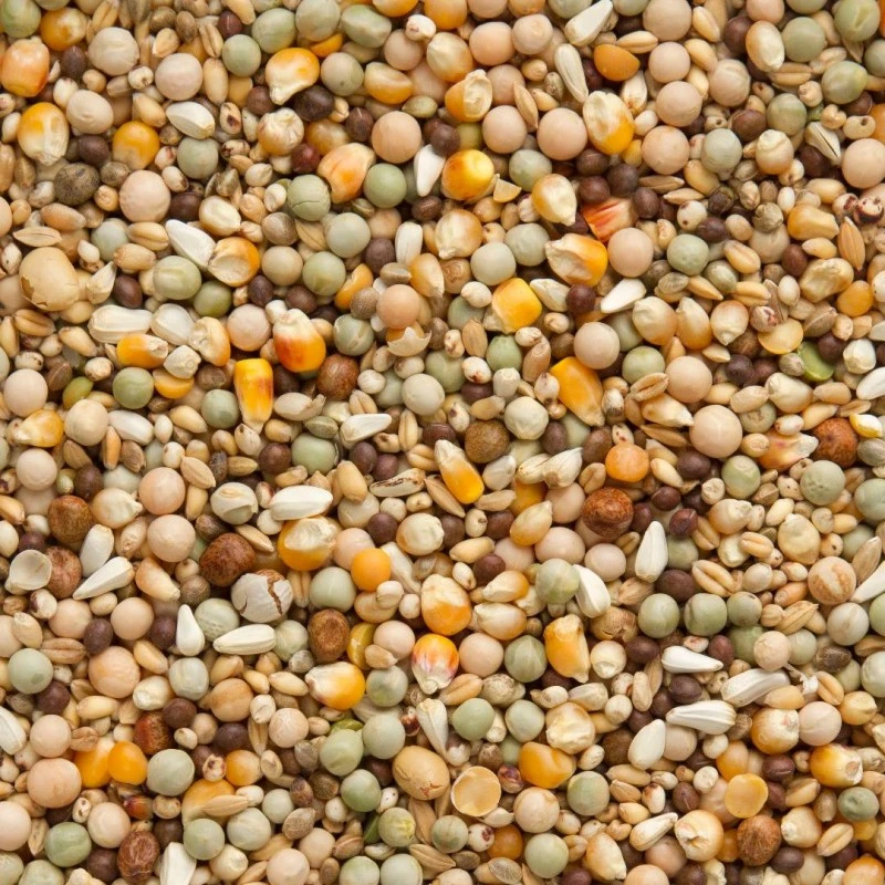 7/40 Elite Enzymix Modern System Pigeonneaux Sevrage 20kg - Beyers 4 7/40 Elite Enzymix Modern System Pigeonneaux Sevrage 20kg - Beyers - Image 2