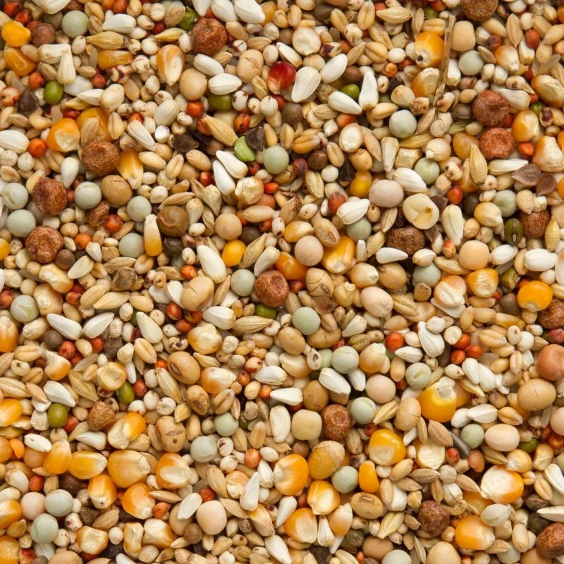 7/43 Elite Enzymix MS Extra Structurel 20kg - Beyers 4 7/43 Elite Enzymix MS Extra Structurel 20kg - Beyers - Image 2