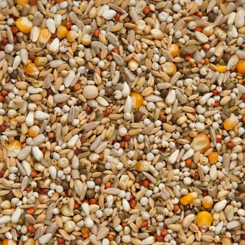 7/47 Elite Enzymix Modern System Energie 20kg - Beyers 4 7/47 Elite Enzymix Modern System Energie 20kg - Beyers - Image 2