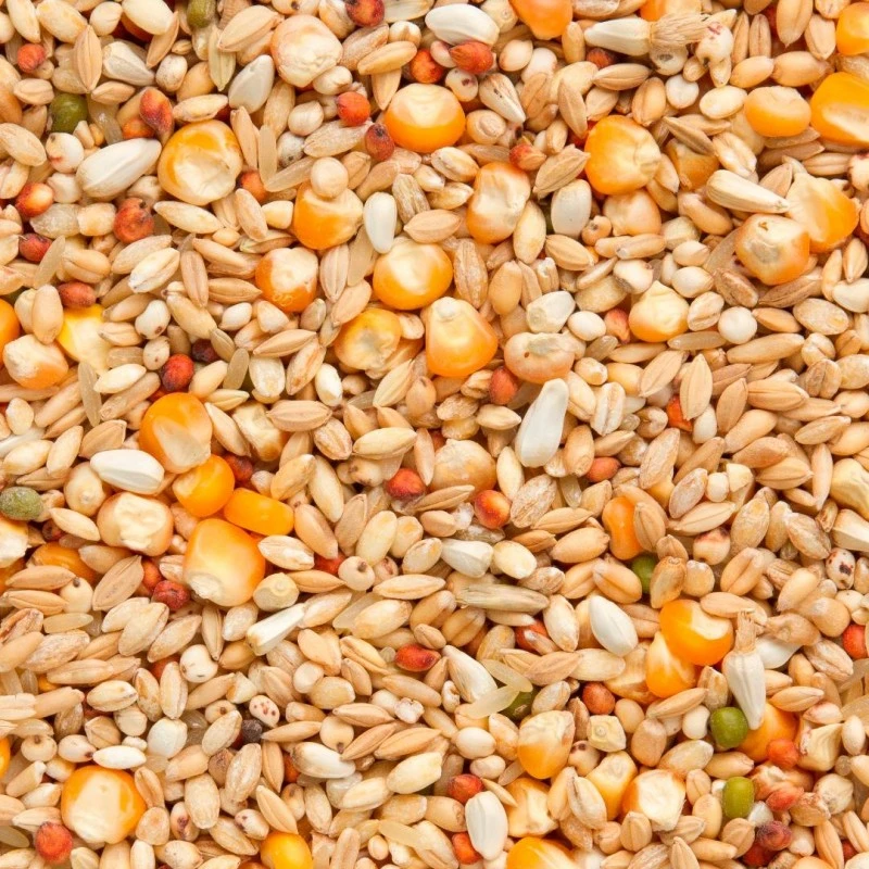 7/48 Elite Enzymix Modern System Recup 20kg - Beyers 4 7/48 Elite Enzymix Modern System Recup 20kg - Beyers - Image 2