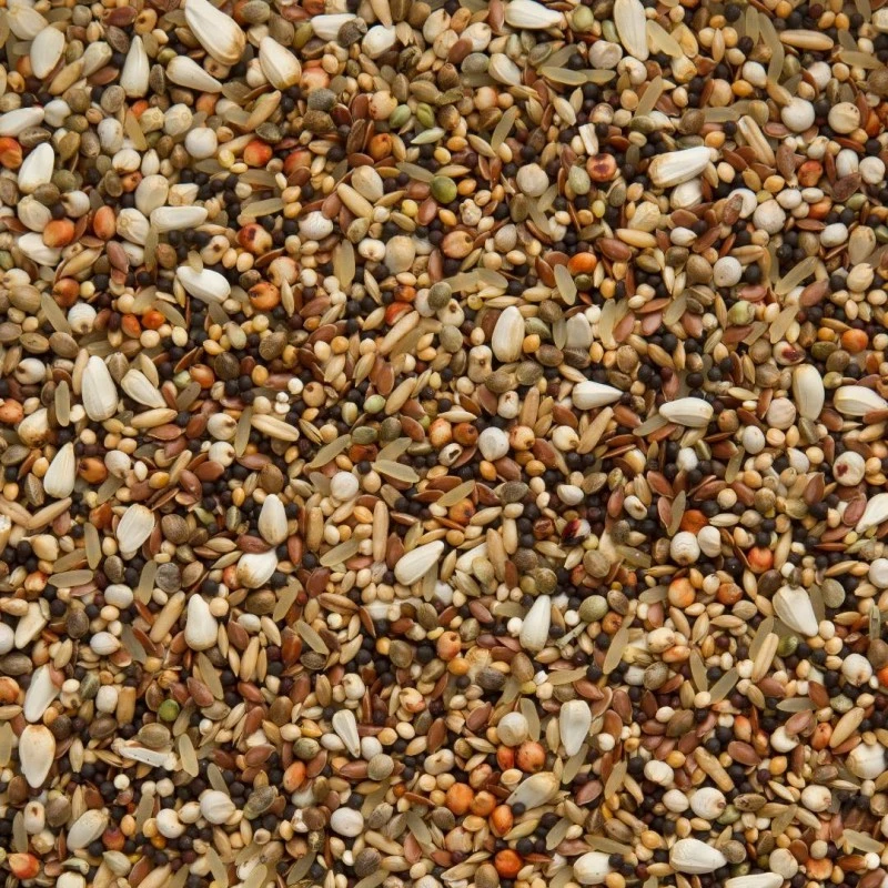 7/57 Elite Enzymix Friandises Fines 20kg - Beyers 4 7/57 Elite Enzymix Friandises Fines 20kg - Beyers - Image 2