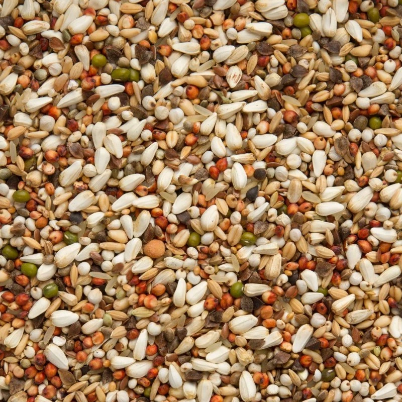 7/78 Elite Enzymix Super Diète 20kg - Beyers 4 7/78 Elite Enzymix Super Diète 20kg - Beyers - Image 2