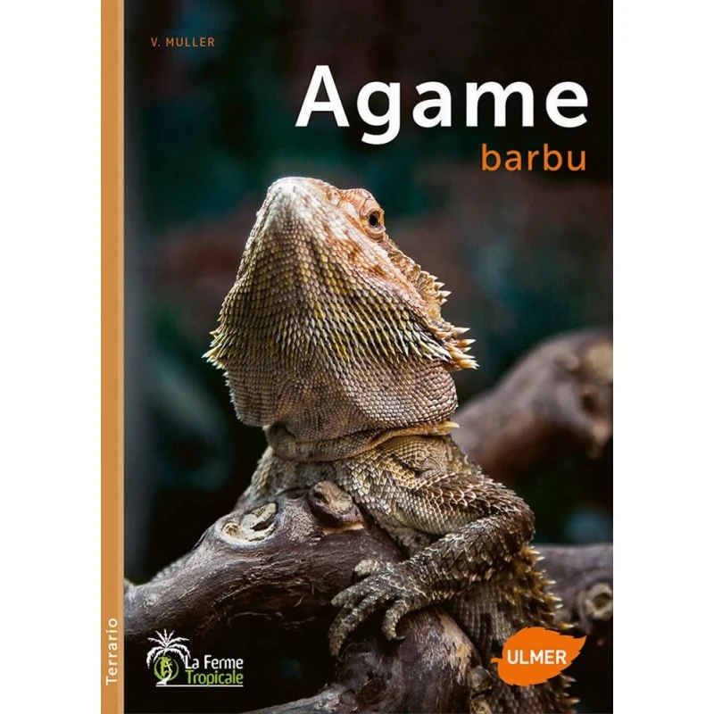 Agame Barbu - Veronika MULLER 3 Agame Barbu - Veronika MULLER