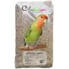 Agapornides - Ornibird, Mélange Pour Inséparables 20kg 1 Agapornides - Ornibird, Mélange Pour Inséparables 20kg -Bird Supply Store agapornides ornibird melange pour inseparables 20kg 700129 private label ornibird melange de graines pour agapornides inseparabl