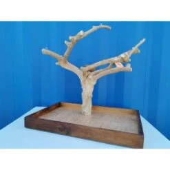 Aire De Jeux En Bois De Java Avec Socle - Medium - Back Zoo Nature 11 Aire De Jeux En Bois De Java Avec Socle - Medium - Back Zoo Nature -Bird Supply Store aire de jeux en bois de java avec socle medium back zoo nature zf1113 back zoo nature aire de jeux en bois de java avec socle et 2