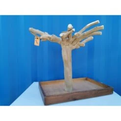 Aire De Jeux En Bois De Java Avec Socle - Medium - Back Zoo Nature 12 Aire De Jeux En Bois De Java Avec Socle - Medium - Back Zoo Nature -Bird Supply Store aire de jeux en bois de java avec socle medium back zoo nature zf1113 back zoo nature aire de jeux en bois de java avec socle et 3