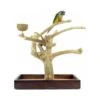 Aire De Jeux En Bois De Java Avec Socle - Small - Back Zoo Nature 1 Aire De Jeux En Bois De Java Avec Socle - Small - Back Zoo Nature -Bird Supply Store aire de jeux en bois de java avec socle small back zoo nature zf1112 back zoo nature aire de jeux en bois de java avec socle et