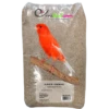 Alpiste Ou Millet Plat 20kg - Ornibird 2 Alpiste Ou Millet Plat 20kg - Ornibird -Bird Supply Store alpiste ou millet plat 20kg ornibird 700135 private label ornibird lalpiste est une graminee plante annuelle pouvant atteindre 1