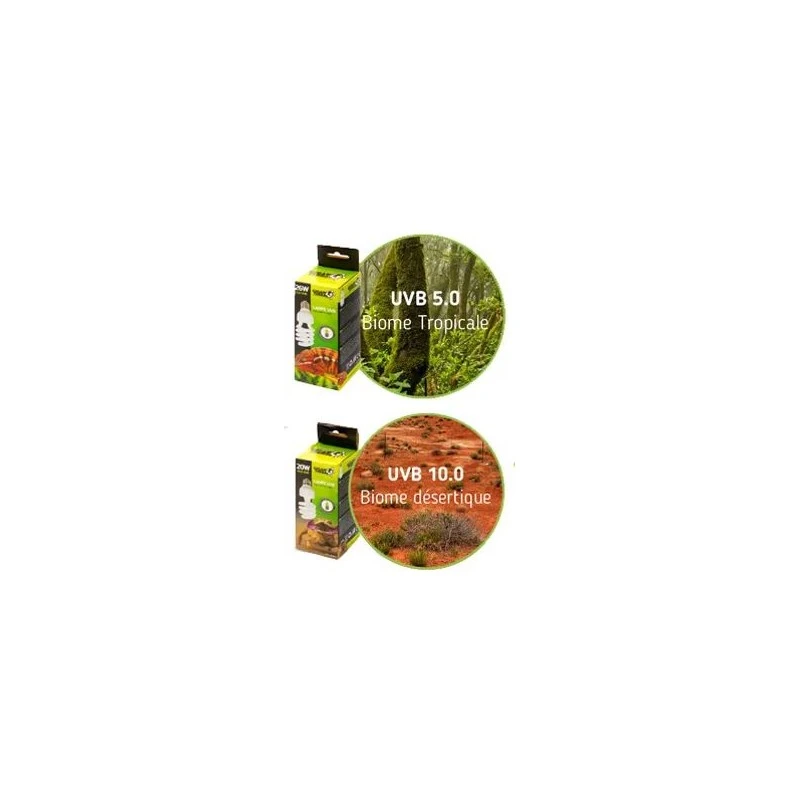 Ampoule UVB 20w/5.0 - Giganterra 4 Ampoule UVB 20w/5.0 - Giganterra - Image 2
