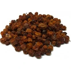 Baie De Sorbier Des Oiseleurs Au Kg - Ornibird 9 Baie De Sorbier Des Oiseleurs Au Kg - Ornibird -Bird Supply Store baie de sorbier des oiseleurs au kg ornibird 103041250 kg grizo baie du sorbier en fruit seche dont les becs crochus indigenes e 3