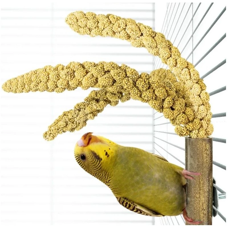 Bambou Grass Keeper +/-20cm - Back Zoo Nature 4 Bambou Grass Keeper +/-20cm - Back Zoo Nature - Image 2