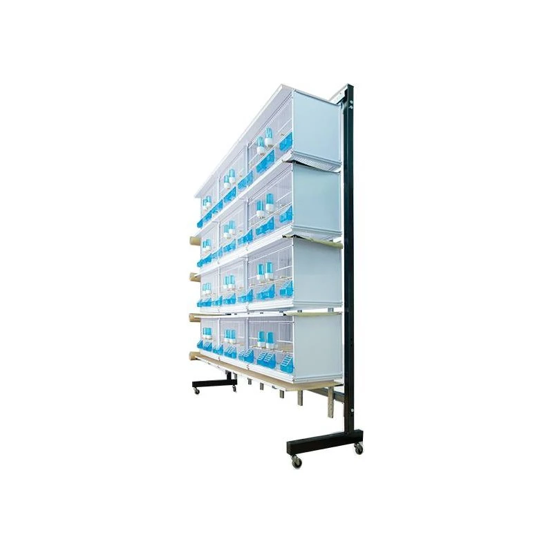 Batteries De 12 Cages 58x30x36 - Modèle Victoria - New Canariz 4 Batteries De 12 Cages 58x30x36 - Modèle Victoria - New Canariz - Image 2