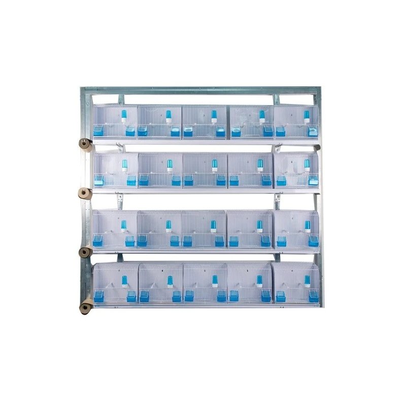 Batteries De 20 Cages D'exposition 35x17x30 - New Canariz 3 Batteries De 20 Cages D'exposition 35x17x30 - New Canariz