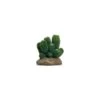Cactus 13 Résine 12x12x13cm - Giganterra 2 Cactus 13 Résine 12x12x13cm - Giganterra -Bird Supply Store cactus 13 resine 12x12x13cm giganterra g04 00342 giganterra cactus 13 resine 12x12x13cm giganterra