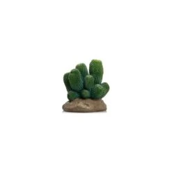 Cactus 13 Résine 12x12x13cm - Giganterra