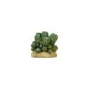 Cactus 2 Résine 12x10,5x11cm - Giganterra -Bird Supply Store cactus 2 resine 12x105x11cm giganterra g04 00295 giganterra cactus 2 resine 12x105x11cm giganterra
