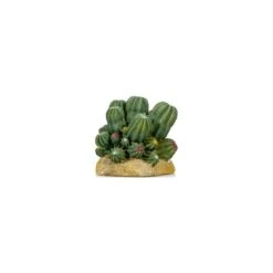 Cactus 2 Résine 12x10,5x11cm - Giganterra