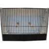 Cage Exposition Caille Noir En PVC 2 Cage Exposition Caille Noir En PVC -Bird Supply Store cage exposition caille noir en pvc 87212611 ost belgium cage dexposition pour caille avec facade noire entierement en plastique