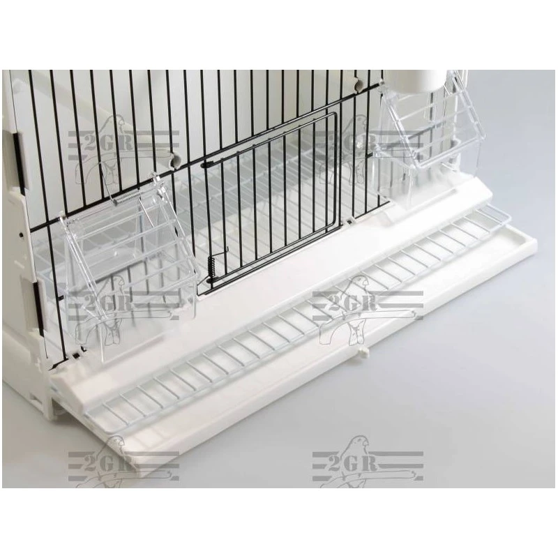 Cage Exposition Plastique 36x17x30cm - 2G-R 5 Cage Exposition Plastique 36x17x30cm - 2G-R - Image 3