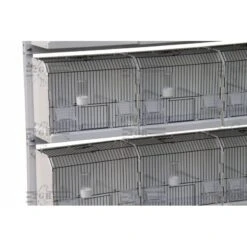 Cage Exposition Plastique 36x17x30cm - 2G-R 11 Cage Exposition Plastique 36x17x30cm - 2G-R -Bird Supply Store cage exposition plastique 36x17x30cm 2g r art 315fn3 2g r cage de preparation avec facade noire 1 porte centrale avec ressort et 3
