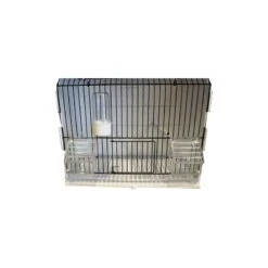 Cage Exposition Plastique 36x17x30cm - 2G-R 13 Cage Exposition Plastique 36x17x30cm - 2G-R -Bird Supply Store cage exposition plastique 36x17x30cm 2g r art 315fn3 2g r cage de preparation avec facade noire 1 porte centrale avec ressort et 5