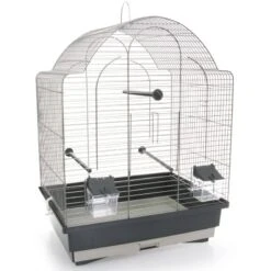 Cage Pour Oiseaux Antonio