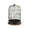 Cage "Retro" Lisette Diam.35cm -Bird Supply Store cage retro lisette diam35cm 104860 zolux cage retro lisetteune cage vintage pour les oiseaux crochet de suspension en metal plat