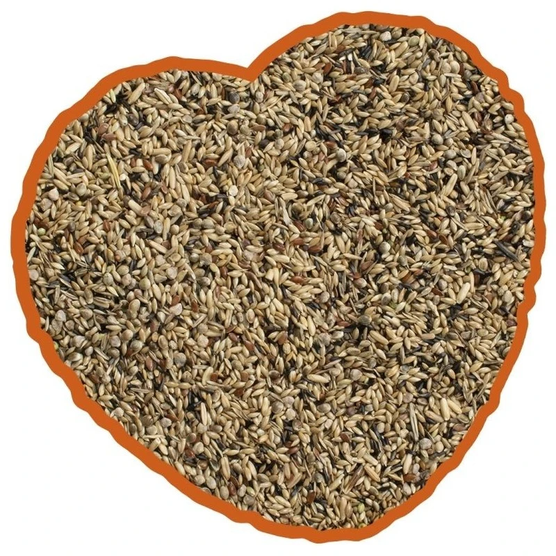 Canari De Posture Mix 20kg - Duvo+ 4 Canari De Posture Mix 20kg - Duvo+ - Image 2