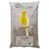 Canaris - Ornibird, Mélange Pour Canaris 20kg 1 Canaris - Ornibird, Mélange Pour Canaris 20kg -Bird Supply Store canaris ornibird melange pour canaris 20kg 700120 private label ornibird melange de graines pour canaris composition graines dal