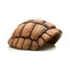 Carapace De Tortue Grotte 20x17x9,5cm - Giganterra 2 Carapace De Tortue Grotte 20x17x9,5cm - Giganterra -Bird Supply Store carapace de tortue grotte 20x17x95cm giganterra g04 00482 giganterra carapace de tortue grotte 20x17x95cm giganterra