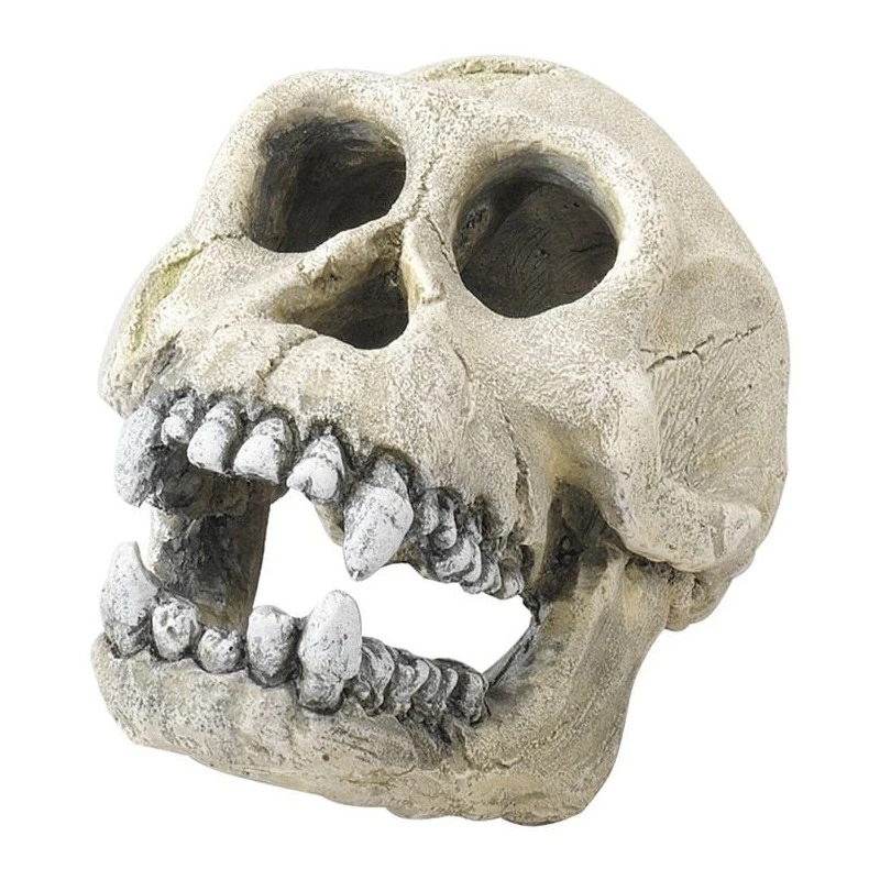 Chimpanzé 16cm - Aqua Della 3 Chimpanzé 16cm - Aqua Della