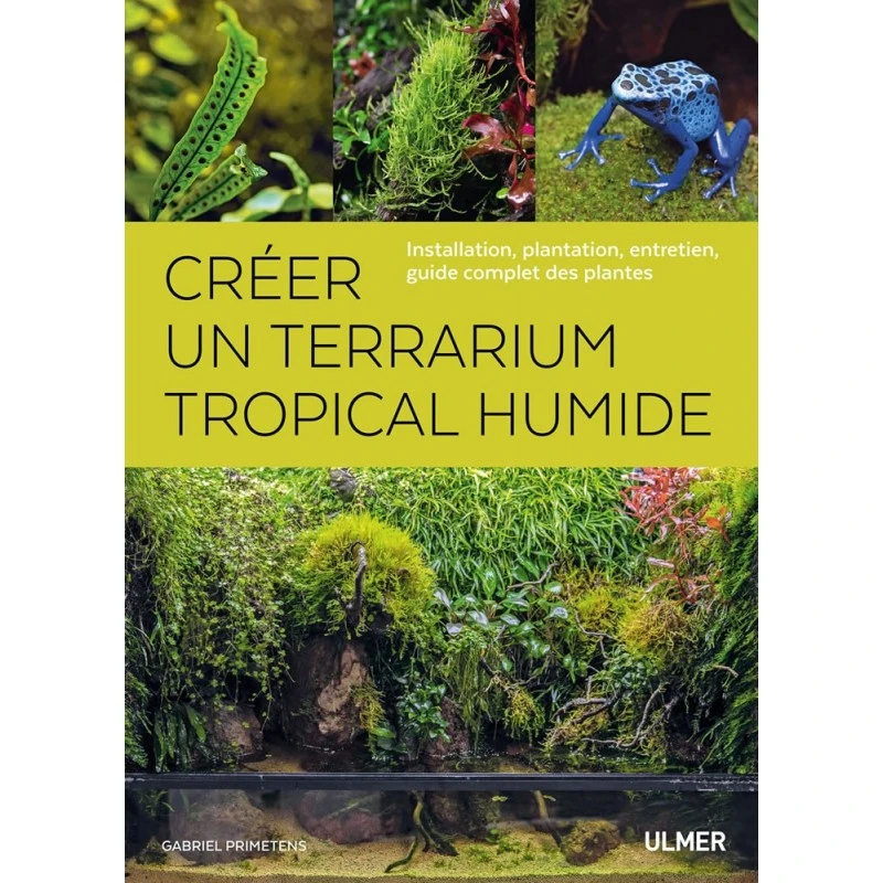 Créer Un Terrarium Tropical Humide Installation, Plantation, Entretien, Guide Complet Des Plantes - Gabriel PRIMETENS 3 Créer Un Terrarium Tropical Humide Installation, Plantation, Entretien, Guide Complet Des Plantes - Gabriel PRIMETENS