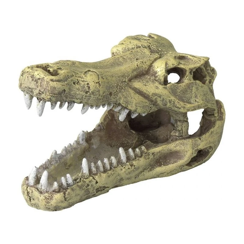 Crocodile Head S-13,5x6,5x7,5cm - Aqua Della 3 Crocodile Head S-13,5x6,5x7,5cm - Aqua Della