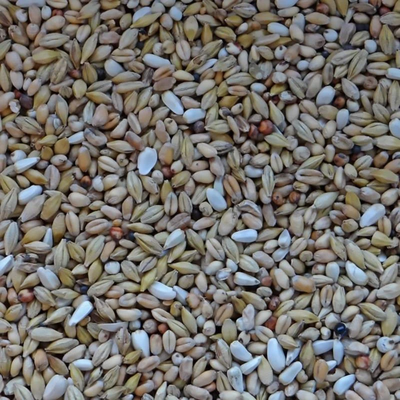 Dépuratif WM 20kg - Witte Molen 4 Dépuratif WM 20kg - Witte Molen - Image 2