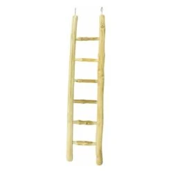 Echelle Bois 60cm - Back Zoo Nature 6 Echelle Bois 60cm - Back Zoo Nature -Bird Supply Store echelle bois 60cm back zoo nature zf1122 back zoo nature lechelle java back zoo nature est une echelle 100 naturelle sur laquell 1