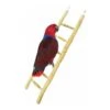 Echelle Bois 60cm - Back Zoo Nature -Bird Supply Store echelle bois 60cm back zoo nature zf1122 back zoo nature lechelle java back zoo nature est une echelle 100 naturelle sur laquell