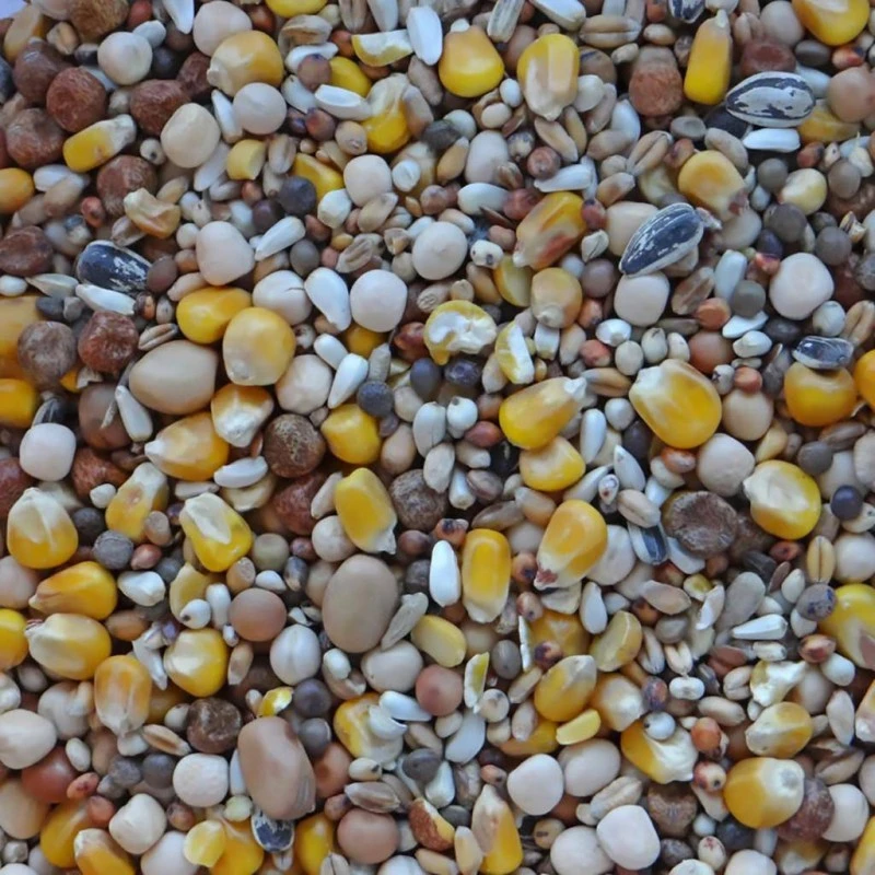 Elevage Jaune WM 20kg - Witte Molen 4 Elevage Jaune WM 20kg - Witte Molen - Image 2