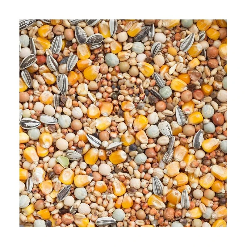 Elevage & Sport Budget 25kg - Beyers 4 Elevage & Sport Budget 25kg - Beyers - Image 2