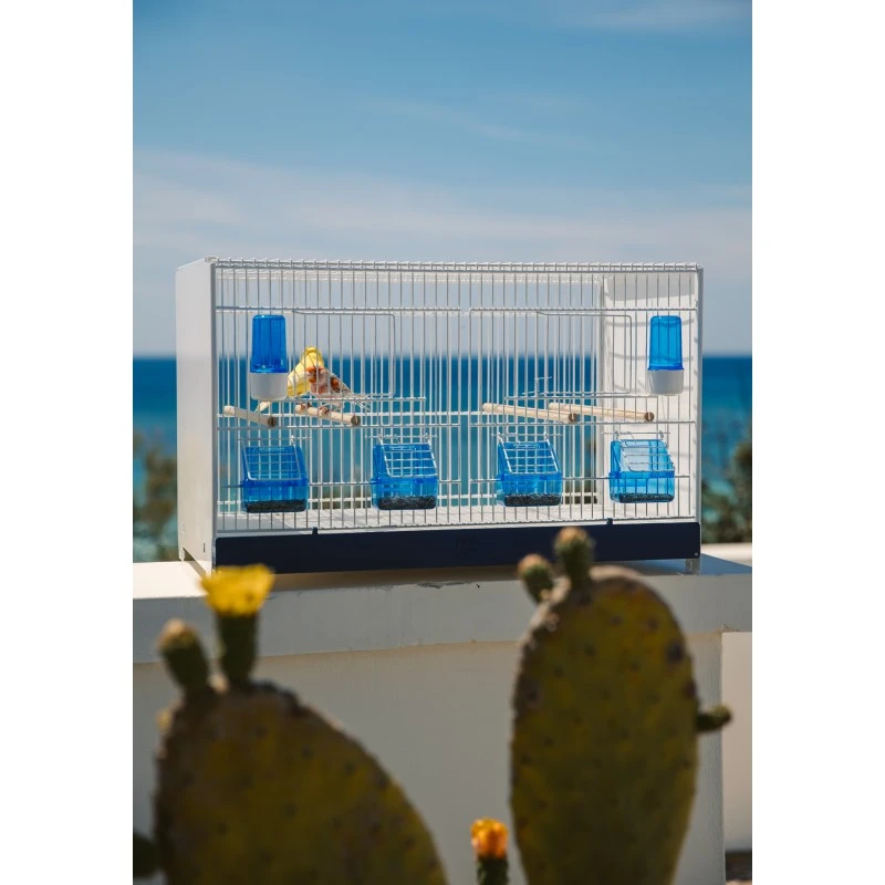 Ensemble De 4 Cages 60x33x33cm Avec Chariot ART.90 - Modèle Einstein - Italgabbie 4 Ensemble De 4 Cages 60x33x33cm Avec Chariot ART.90 - Modèle Einstein - Italgabbie - Image 2