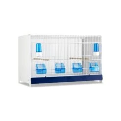 Ensemble De 4 Cages 60x33x33cm Avec Chariot ART.90 - Modèle Einstein - Italgabbie 9 Ensemble De 4 Cages 60x33x33cm Avec Chariot ART.90 - Modèle Einstein - Italgabbie -Bird Supply Store ensemble de 4 cages 60x33x33cm avec chariot art90 modele einstein italgabbie art90 4 t italgabbie ensemble de 4 cages a tiroirs 1 2