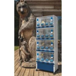 Ensemble De 4 Cages 60x33x33cm Avec Chariot ART.90 - Modèle Einstein - Italgabbie 10 Ensemble De 4 Cages 60x33x33cm Avec Chariot ART.90 - Modèle Einstein - Italgabbie -Bird Supply Store ensemble de 4 cages 60x33x33cm avec chariot art90 modele einstein italgabbie art90 4 t italgabbie ensemble de 4 cages a tiroirs 1 3