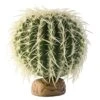 Exo Cactus Oursin M - Exo Terra -Bird Supply Store exo cactus oursin m exo terra 33 pt2985 exo terra exo cactus oursin m exo terra