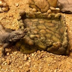 Exo Coin Gamelle Eau L - Exo Terra -Bird Supply Store exo coin gamelle eau l exo terra 33 pt2828 exo terra exo coin gamelle eau l exo terra 2