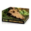 Exo Crâne Crocodile 23x12x7,5cm - Exo Terra -Bird Supply Store exo crane crocodile 23x12x75cm exo terra 33 pt2856 exo terra exo crane crocodile 23x12x75cm exo terra