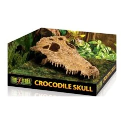 Exo Crâne Crocodile 23x12x7,5cm - Exo Terra