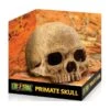 Exo Crâne Primate 17x13,5x11,5cm - Exo Terra -Bird Supply Store exo crane primate 17x135x115cm exo terra 33 pt2855 exo terra exo crane primate 17x135x115cm exo terra